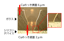 Cuめっきの断面図