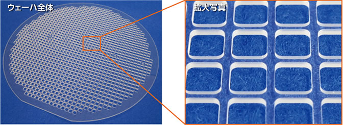 ウェーハ全体と拡大図